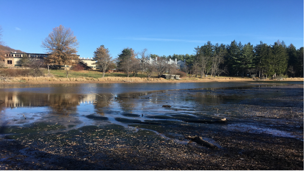 Arrowhead Cove at Low Water Levels.png