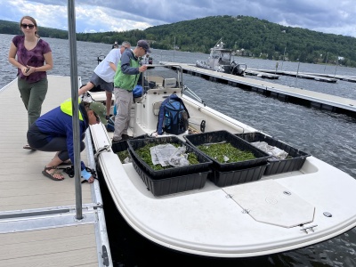 SAV Plantings on a Boat